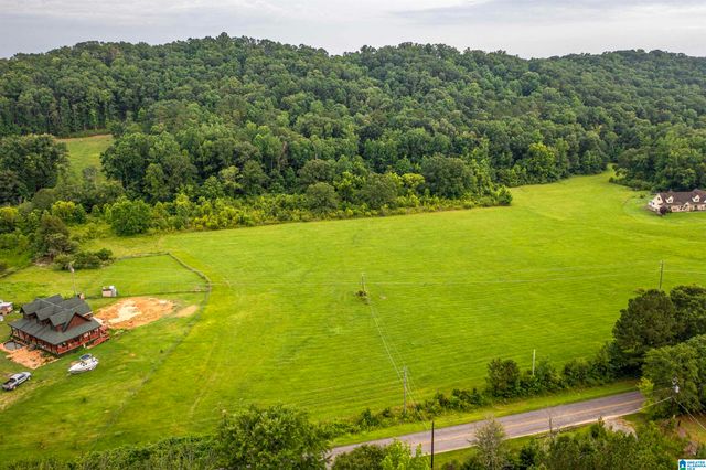15.35 SPRING ROAD, Ohatchee, AL 36271