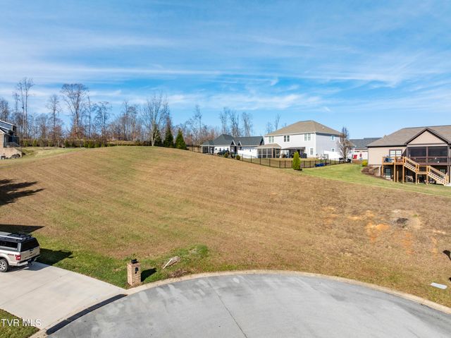 Tbd Mia Gracie Court, Johnson City, TN 37615