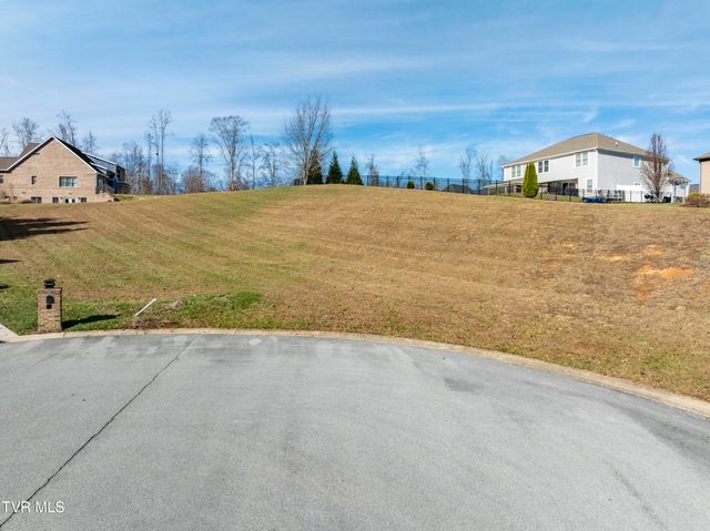 Tbd Mia Gracie Court, Johnson City, TN 37615