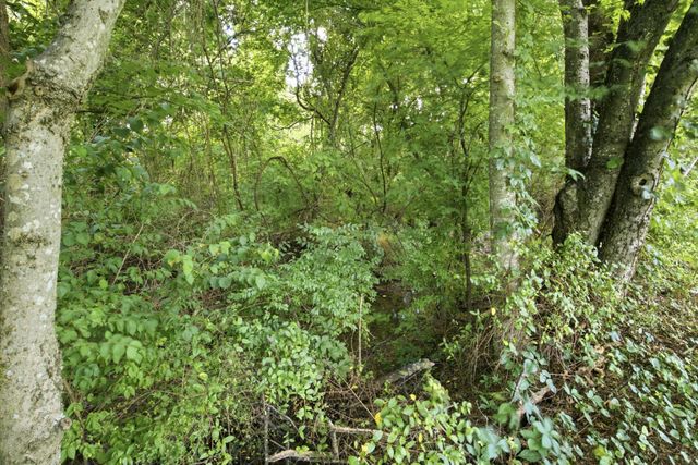 2752 Aston Woods Ln, Thompsons Station, TN 37179