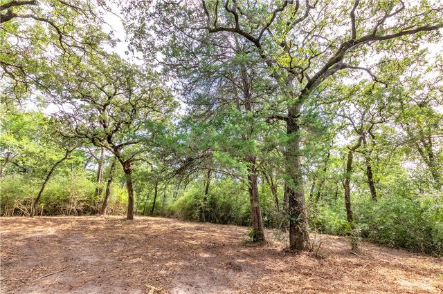 1004 22 Hills Rd, Gause, TX 77857