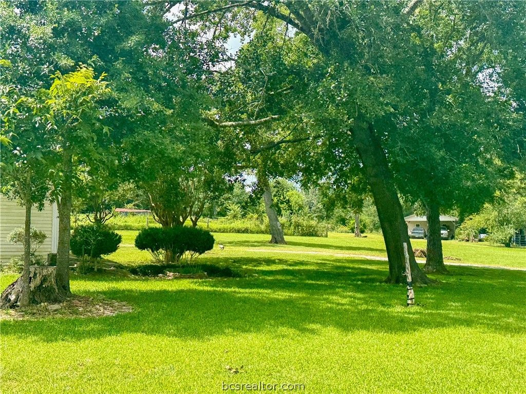 2433 County Road 409, Navasota, TX 77868 — photo 4