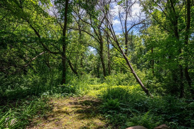 4749 S Lake Sarah Drive, Independence, MN 55359