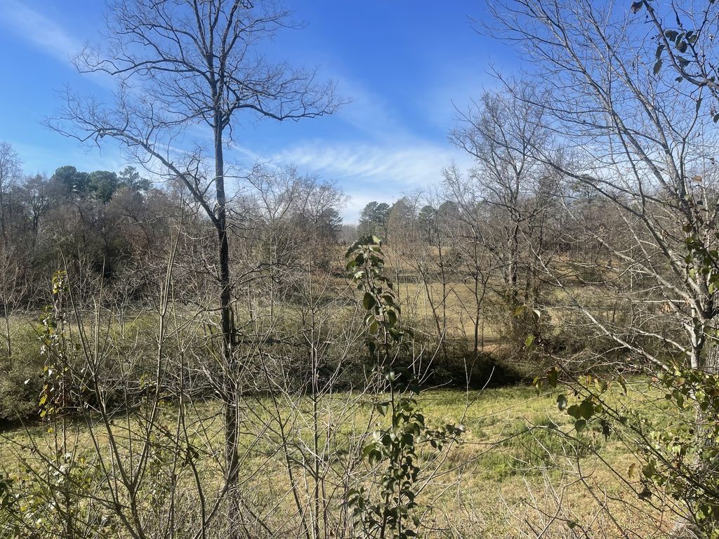 2449 Buffalo Rd, Lawrenceburg, TN 38464