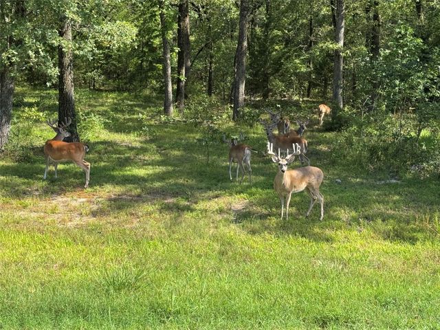 6707 Anchor Point, Quinlan, TX 75474