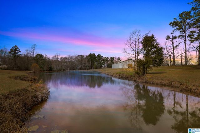 37 COUNTY ROAD 825, Clanton, AL 35045