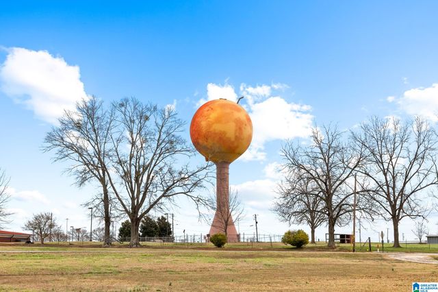 37 COUNTY ROAD 825, Clanton, AL 35045