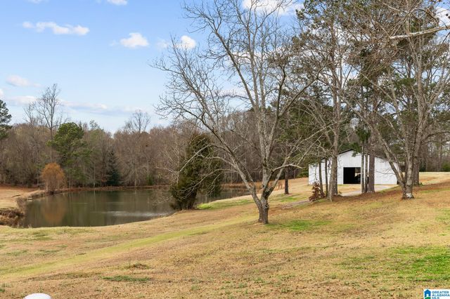37 COUNTY ROAD 825, Clanton, AL 35045