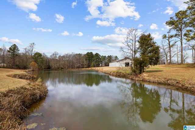 37 COUNTY ROAD 825, Clanton, AL 35045