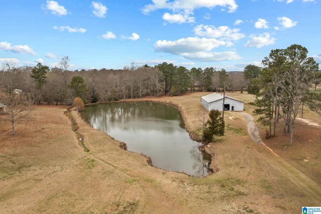 37 COUNTY ROAD 825, Clanton, AL 35045