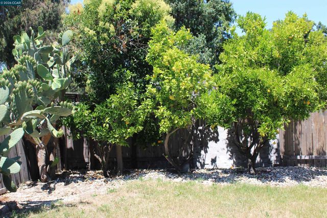 36305 Colbert Pl, Newark, CA 94560
