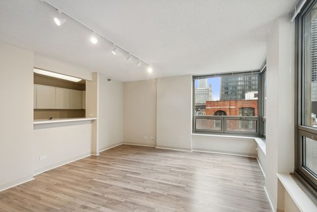 440 N Wabash Avenue 1103, Chicago, IL 60611