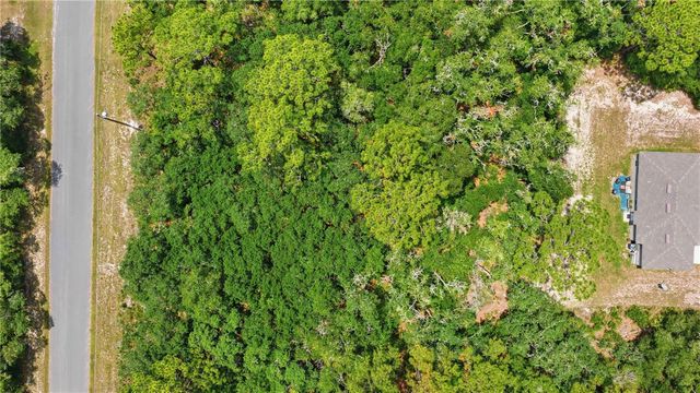 TBD LOCUST TERRACE TRAIL Lot 12, Ocala, FL 34472