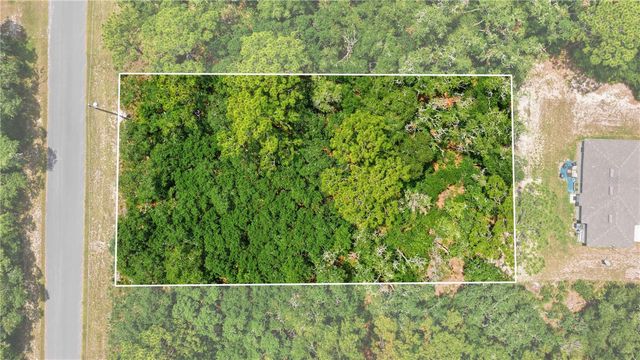 TBD LOCUST TERRACE TRAIL Lot 12, Ocala, FL 34472