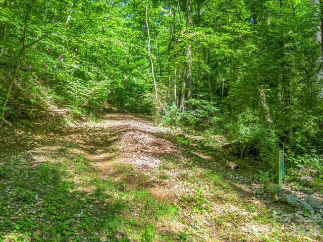 21 Wits End Trail, Swannanoa, NC 28778