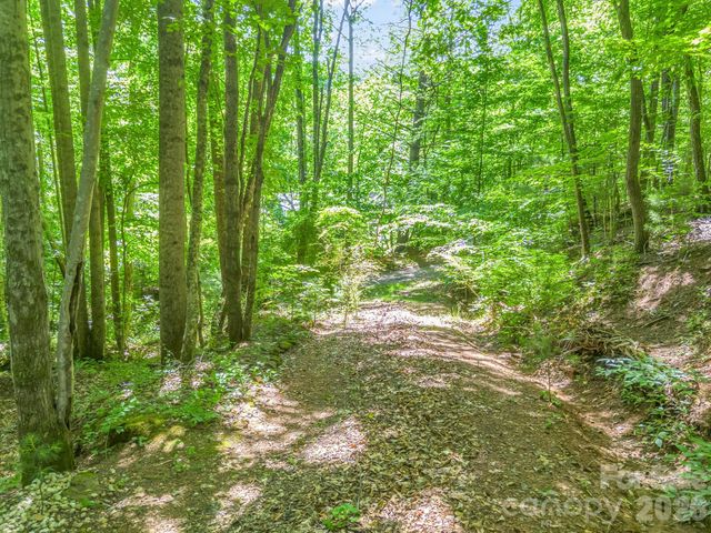 21 Wits End Trail, Swannanoa, NC 28778
