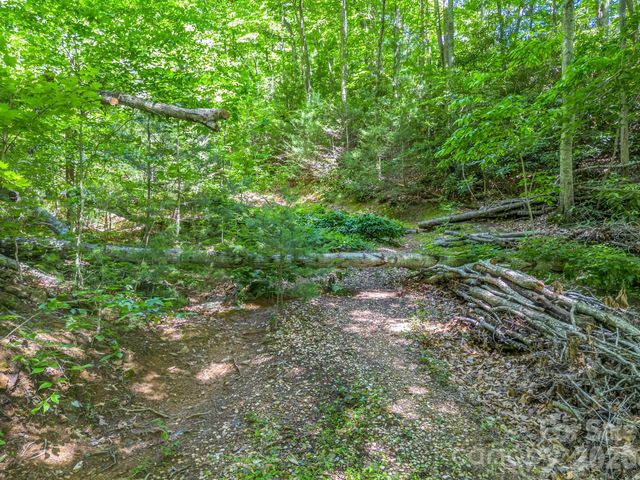 21 Wits End Trail, Swannanoa, NC 28778