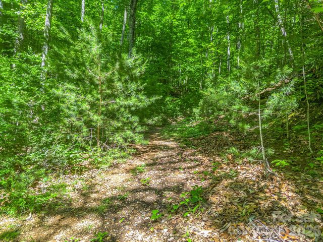 21 Wits End Trail, Swannanoa, NC 28778