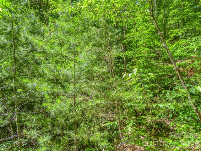 21 Wits End Trail, Swannanoa, NC 28778