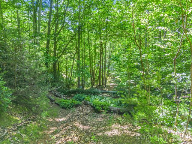 21 Wits End Trail, Swannanoa, NC 28778