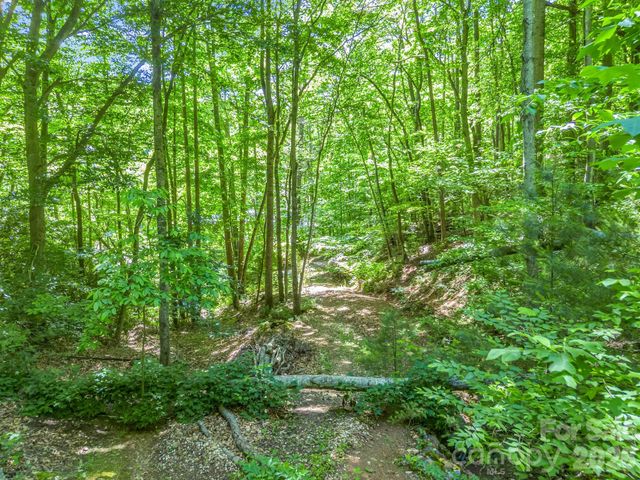 21 Wits End Trail, Swannanoa, NC 28778