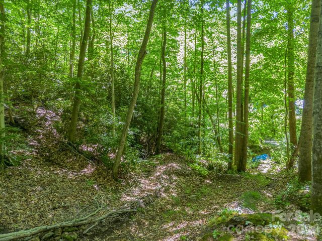 21 Wits End Trail, Swannanoa, NC 28778
