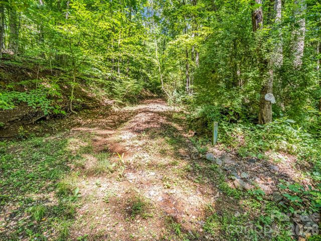 21 Wits End Trail, Swannanoa, NC 28778