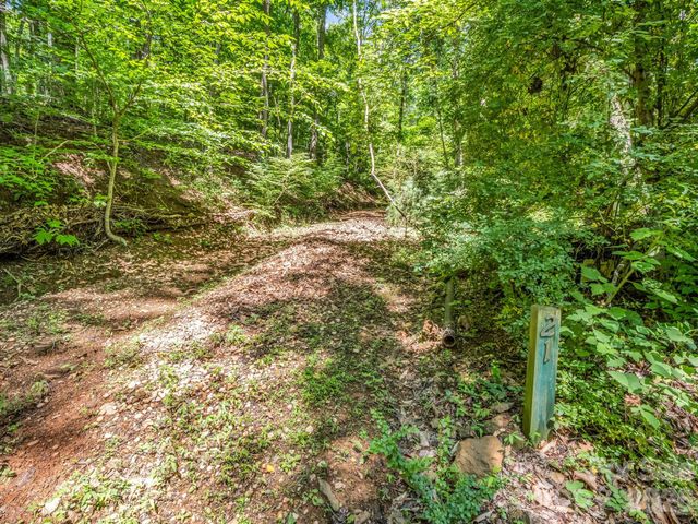 21 Wits End Trail, Swannanoa, NC 28778
