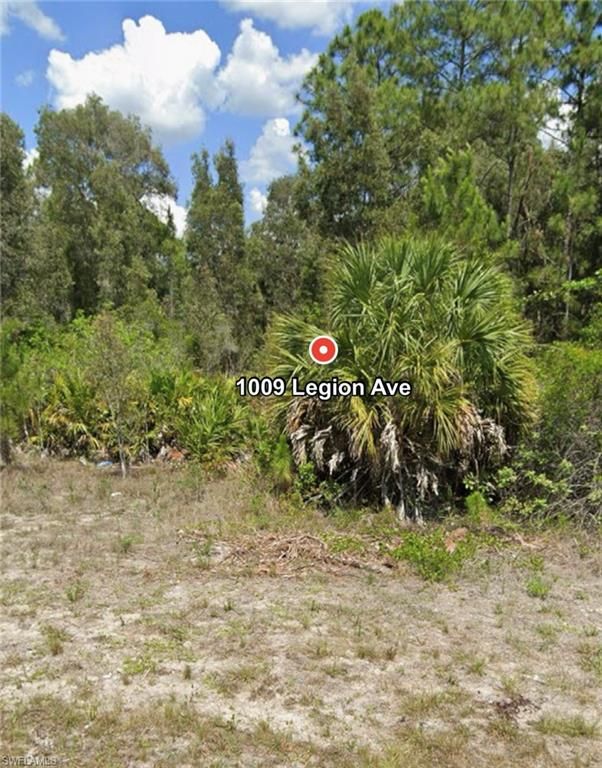 1009 LEGION AVE AVE, LEHIGH ACRES, FL 33974 — photo 3
