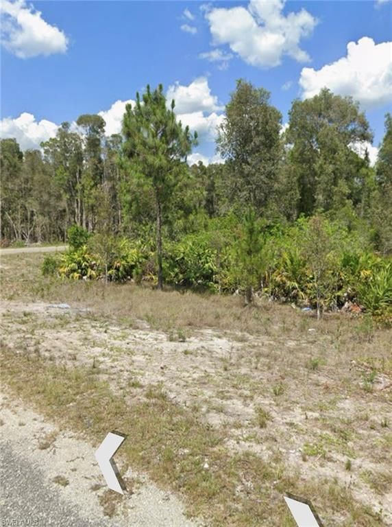 1009 LEGION AVE AVE, LEHIGH ACRES, FL 33974 — photo 4
