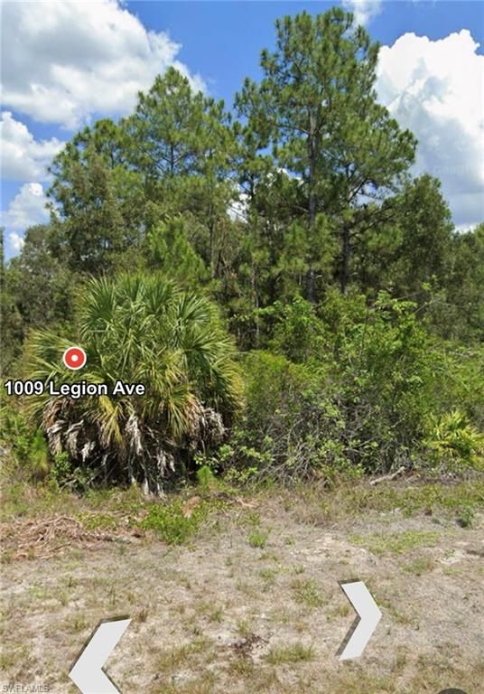 1009 LEGION AVE AVE, LEHIGH ACRES, FL 33974 — photo 5
