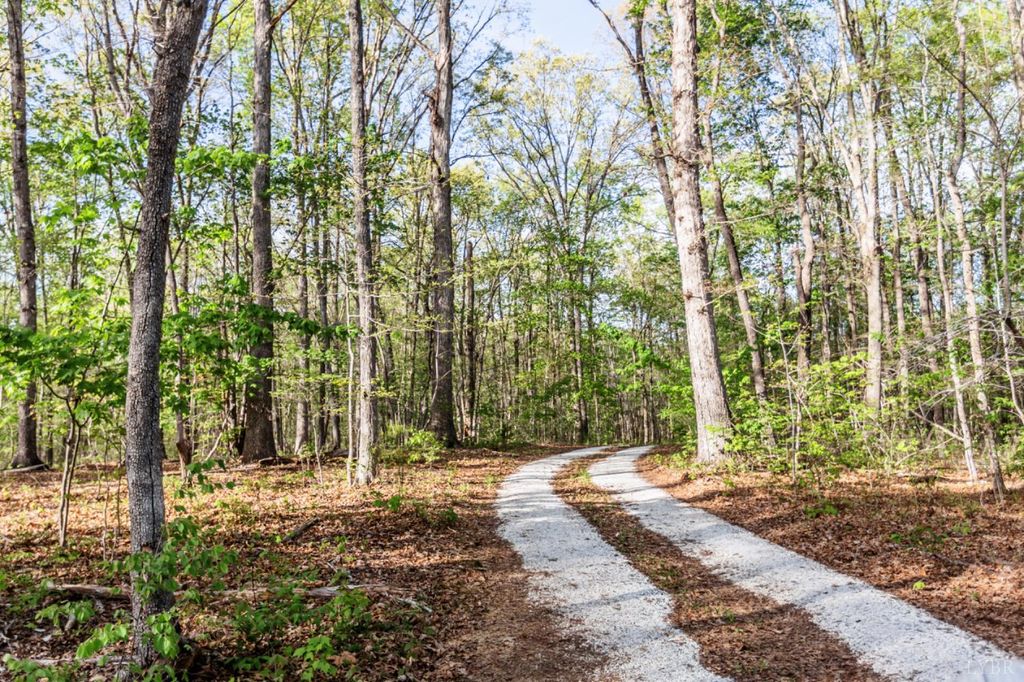 Image 76 of property listing at 278 Salt Lick Lane, Appomattox, VA 24522
