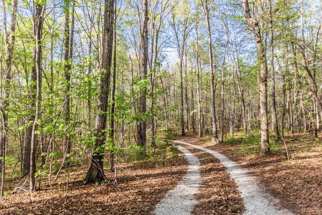 Image 77 of property listing at 278 Salt Lick Lane, Appomattox, VA 24522