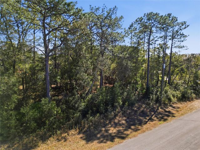 2780 W ELGIN PLACE, Citrus Springs, FL 34434