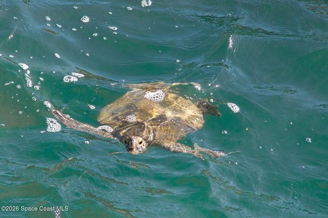 753 Spring Valley Drive, Melbourne, FL 32940