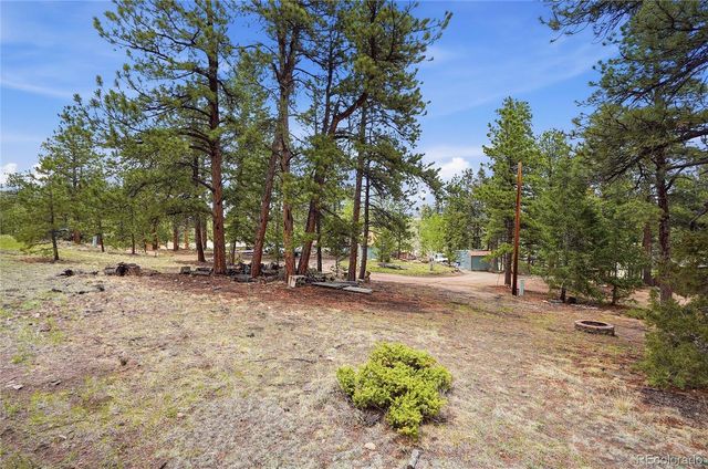 14032 S Olive Avenue, Pine, CO 80470