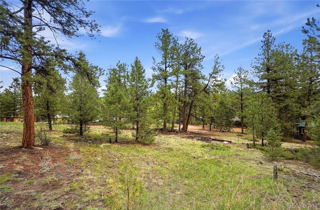 14032 S Olive Avenue, Pine, CO 80470