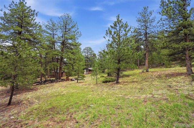 14032 S Olive Avenue, Pine, CO 80470