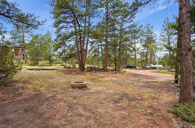 14032 S Olive Avenue, Pine, CO 80470
