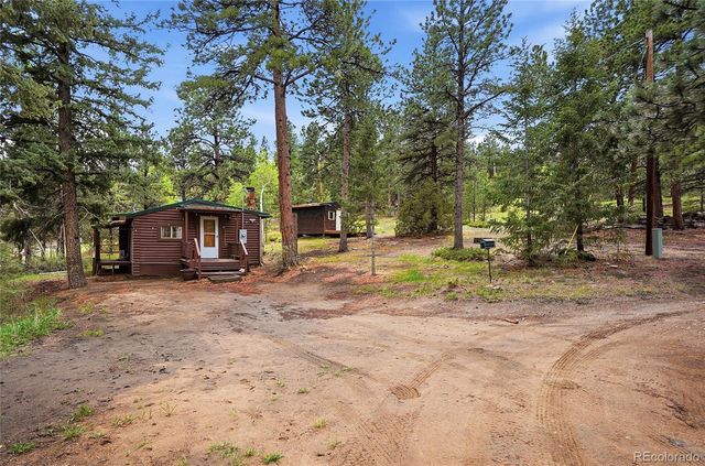 14032 S Olive Avenue, Pine, CO 80470
