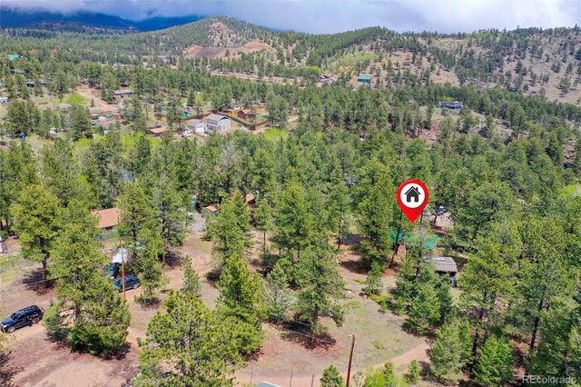 14032 S Olive Avenue, Pine, CO 80470
