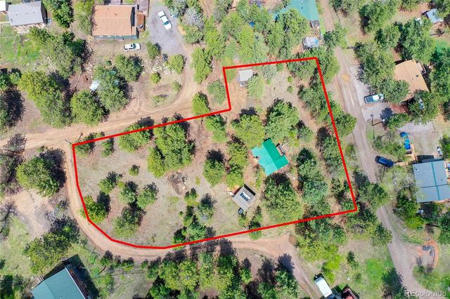 14032 S Olive Avenue, Pine, CO 80470