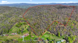 Tba Black Locust Road, Jonesville, VA 24263