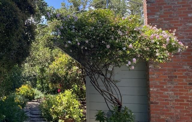 25349 Flanders Drive, Carmel, CA 93923