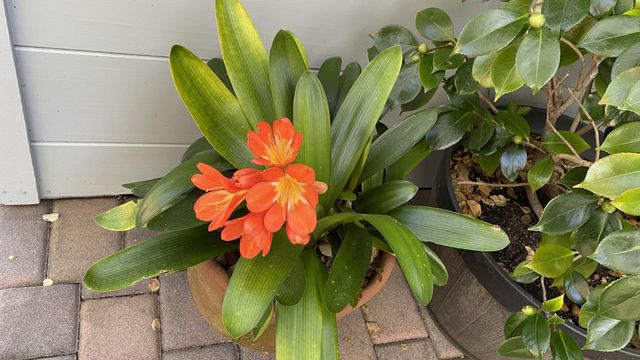 25349 Flanders Drive, Carmel, CA 93923