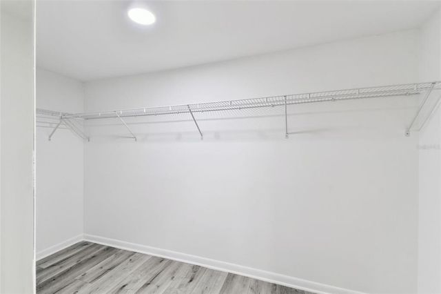 4220 FAIRWAY RUN 0, Tampa, FL 33618