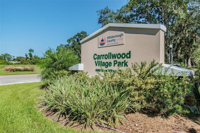 4220 FAIRWAY RUN 0, Tampa, FL 33618