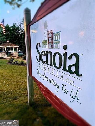 124 Morgan Street, Senoia, GA 30276