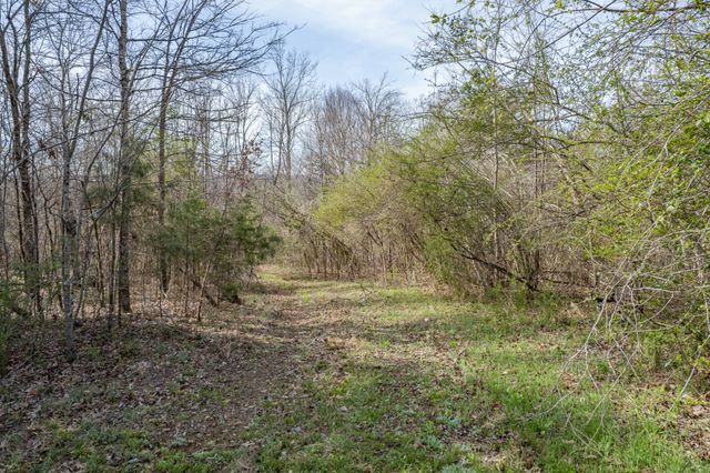 321 OLD SR 48, Centerville, TN 37033