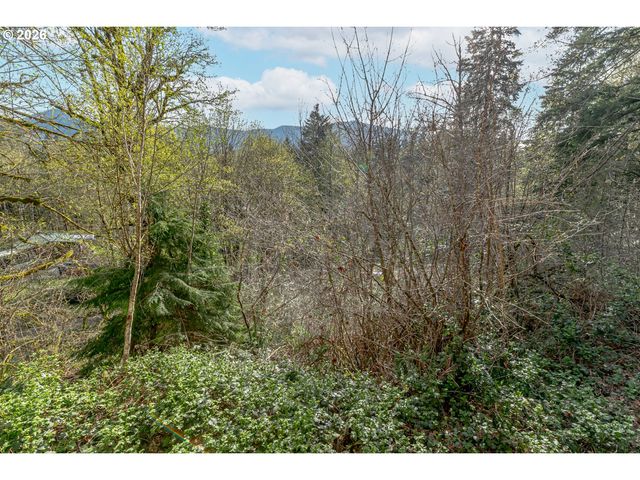 64636 E MCINTYRE Rd, Rhododendron, OR 97049